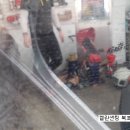 켈란썬팅북