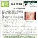 시어스팜 이미지
