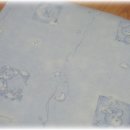 리틀베베 이미지