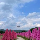 소요산펜션 | 서울 근교 주말 나들이 포천 허브아일랜드 입장료 주차 정보 아이랑 가기 좋은 곳 데이트코스