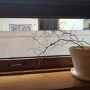 원남로-8 이미지