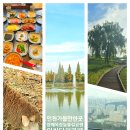 해오름 목장 이미지