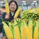 괴산G마트 이미지