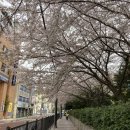 남초등학교후문 이미지