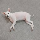 카페탑모터스 이미지