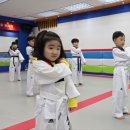 용인대 소나무향기 태권도장 이미지