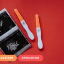 별에서 온 뿌꾸 이미지