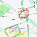 [쿤밍여행 가볼만한 곳#1] 아시아 최대규모 꽃시장 두남화훼시장 / 斗南花卉市场 / 공짜로 꽃 주워오기