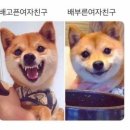 꼬꼬포차 - 춘천시 | 꼬꼬포차