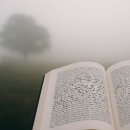 강릉성모안과의원 이미지