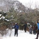 삼거리식당 옆 이미지