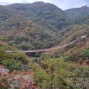 김성옥 인권행정사사무소 이미지