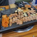 제주돈 도야지 이미지