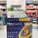 온누리양지약국 이미지