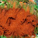 맛나김치 이미지