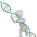 에스메딕스(S-Medics) | 줄기세포 관련주, 임상 성과와 규제 변화로 다시 뜬다