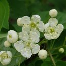 공인씨엠번역행정사 사무소 이미지