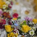 양평길병원 이미지