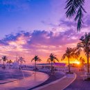 대하공원 이미지