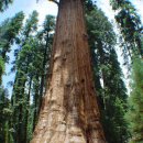 (주)큰나무 이미지