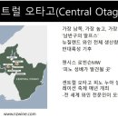 둥지포도원 | 뉴질랜드 와인 프로젝트 3차 화상 시음회 후기 - 뉴질랜드와인 추천 및 러시안잭 머드하우스 펄리셔...