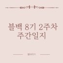 금노 | 블백 8기 2주 차 주간일지