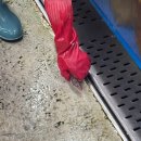 바보회식당 | 부산 광안리 횟집 민락회타운 회센터 9층 식당 이용 후기