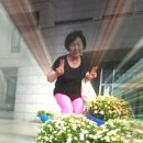 면사무소 Daum카페