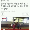 손혜원 &#34;정유라, 개똥 안 치워 혼나자 최순실에 &#39;XXX아, 나 이제 말 안타&#39; 협박&#34; 이미지