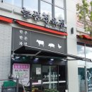 늘품정육점 이미지