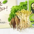 오피플