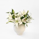 백합향 | 꾸까(kukka) 향 백합 피웠지만 향 못맡은 후기...