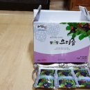 마이산농장 이미지