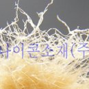 나이콘