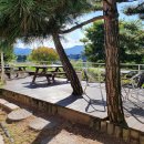 운길산장어 이미지