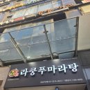 라쿵푸강남