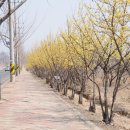 와촌파출소 이미지