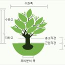 산림조합의 수목 판매장(2008년) 이미지