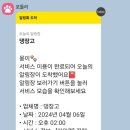댕장고 네이버블로그