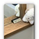 얼번스트리트 서울대입구역점