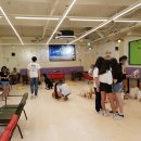 해피치 애견카페 이미지