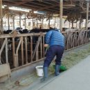 전제만목장 이미지