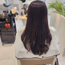 효자 동물병원 | 전주 미용실 신시가지 미용실 전주헤어웰 효자점 정아디자이너 S컬펌 후기
