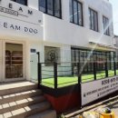 ARTEAM DOG 네이버블로그