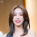 빨간여우 이미지