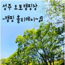 캠핑홀리데이 성주오토캠핑장 이미지