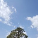 행복이 가득한 터 이미지