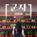 군자 플랜트샵 / 다양하고 귀여운 반려식물 가득한 군자 핫플, 분즈