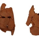 금산리방대형고분 이미지