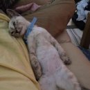 자유시간 이미지